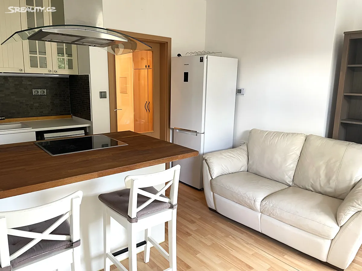 Pronájem bytu 1+kk 41 m², Špačkova