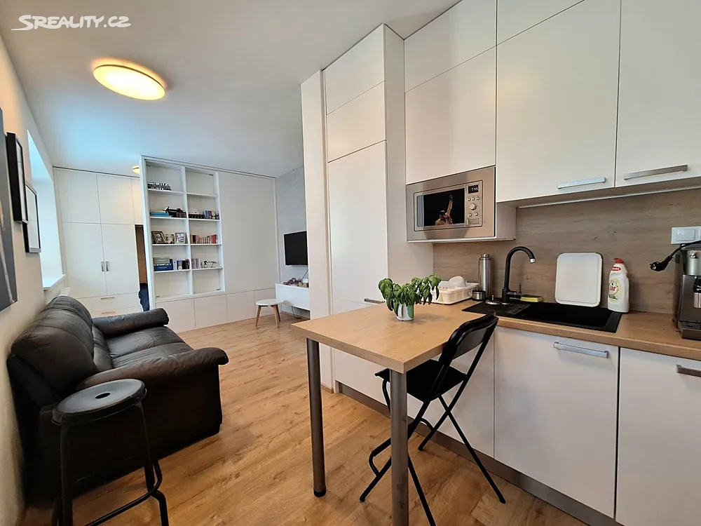 Pronájem bytu 1+kk 35 m² – pohled 4
