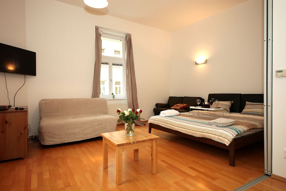Pronájem bytu 1+1 40 m²