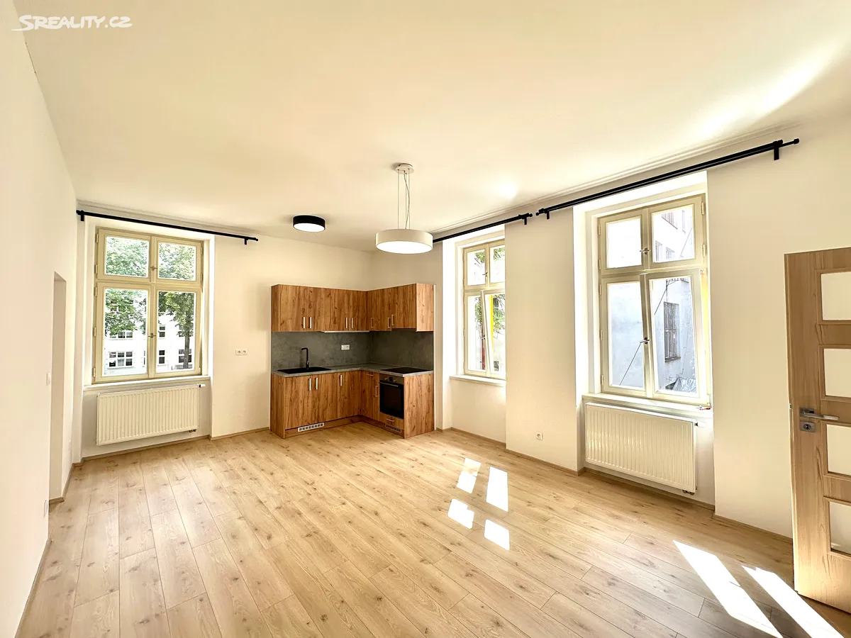 Pronájem bytu 2+kk 62 m², Plzeň
