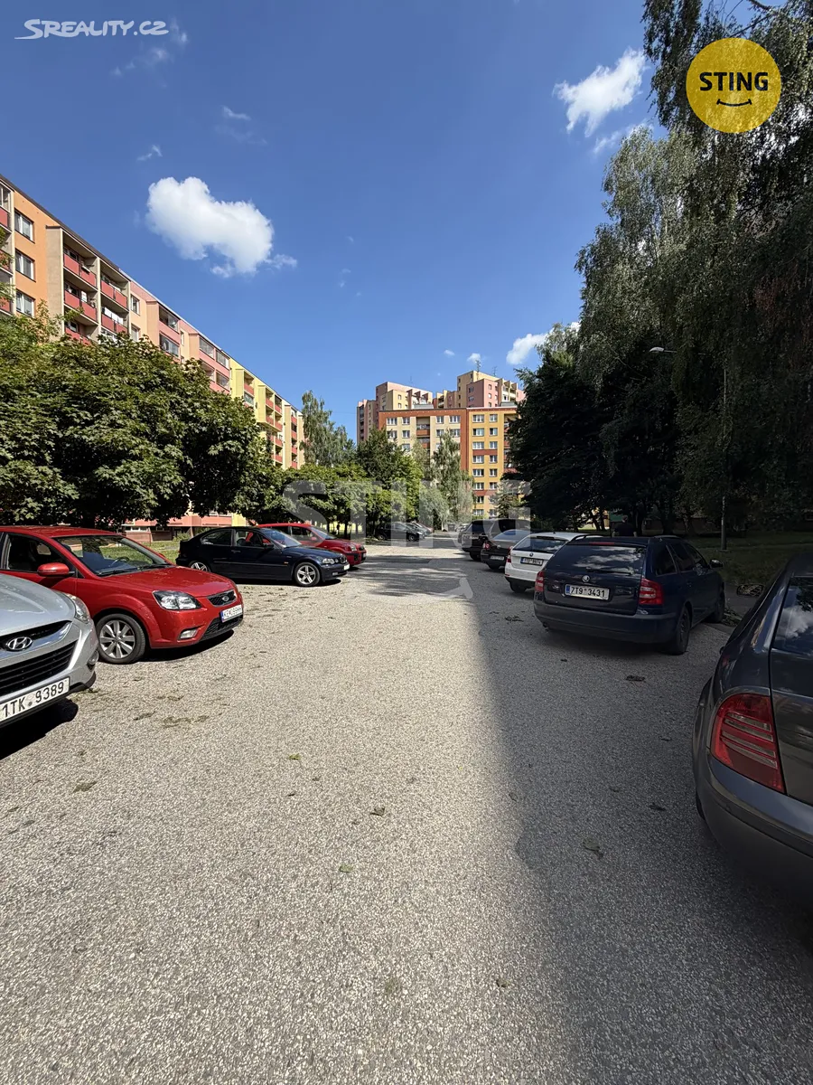 Pronájem bytu 1+1 36 m² – další