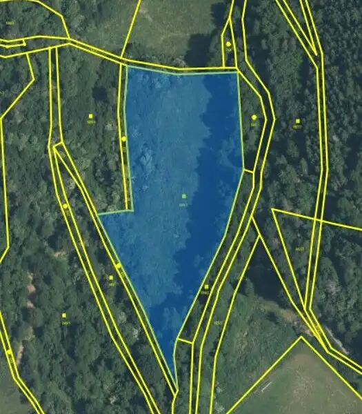 Pronájem pole 47593 m², Svojšín – náhled fotky 2