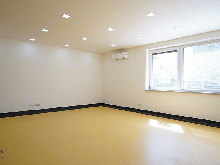 Pronájem komerčního prostoru, 54 m² (2 z 10)