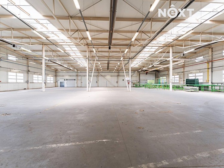 Комерційне приміщення в оренду, 2 601 м² (4 з 30)