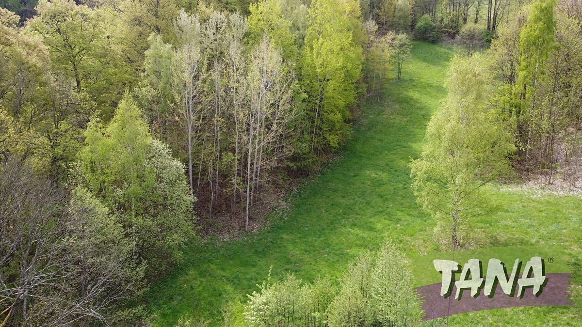 Prodej stavebního pozemku 11509 m² – fotografie 3