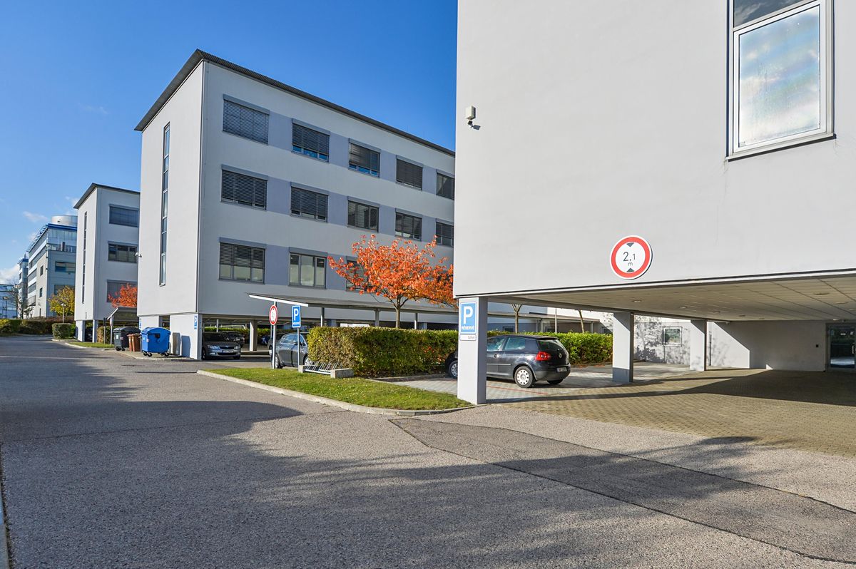 Pronájem kanceláře 251 m² – fotografie 3