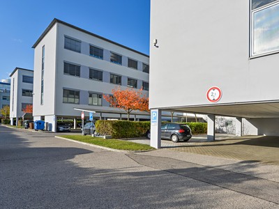 Gewerbefläche zur Miete, 251 m² (3 von 7)