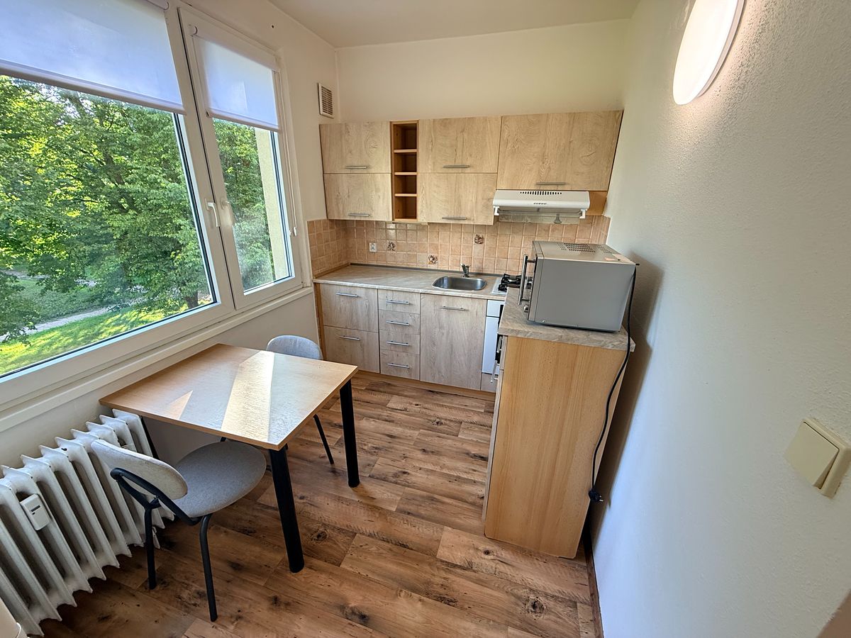 Pronájem bytu 1+1 36 m²