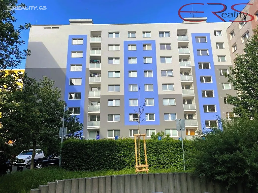 Pronájem bytu 2+kk 45 m² - Widok 6