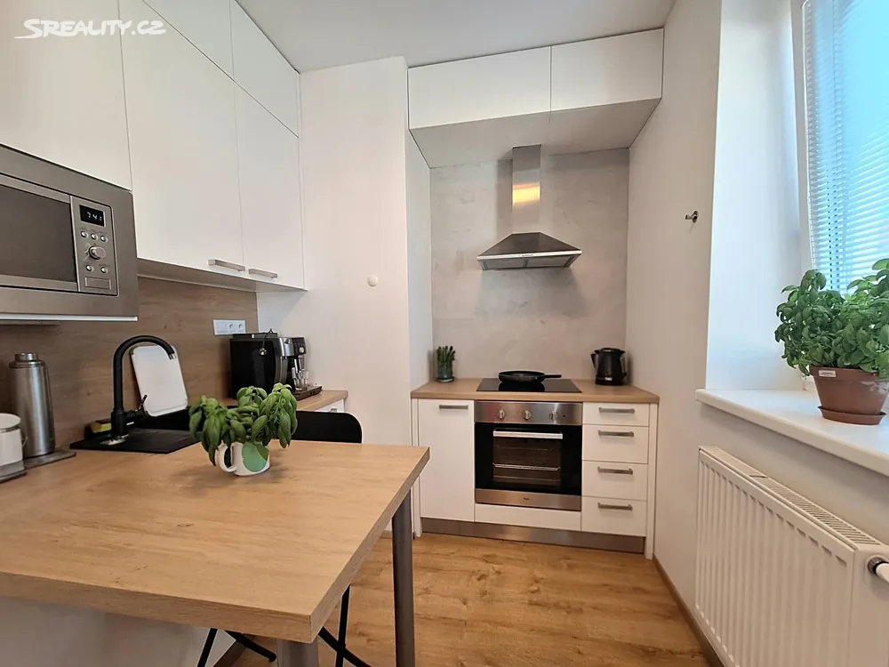 Pronájem bytu 1+kk 35 m² – pohled 3