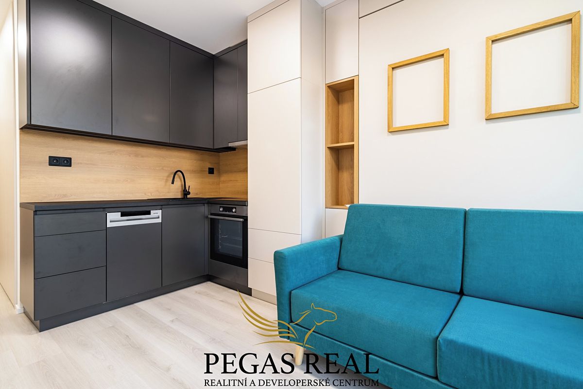 Pronájem bytu 1+kk 19 m²