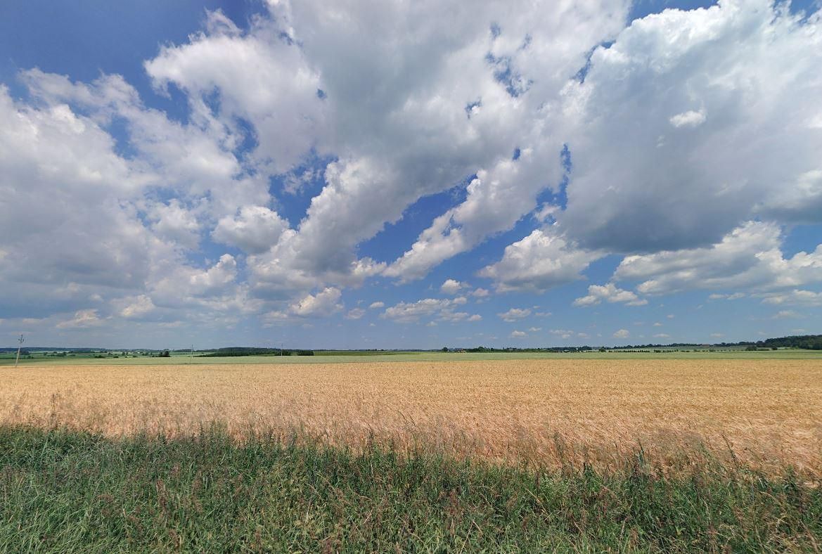 Prodej pole 17261 m², Stádlec – fotka 1 z 3