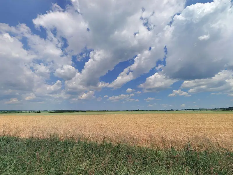Prodej pole 17261 m², Stádlec – náhled fotky 1