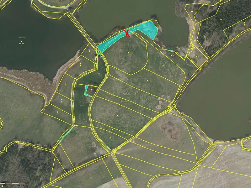 Prodej pole 1760 m², Čejetice – náhled fotky 2