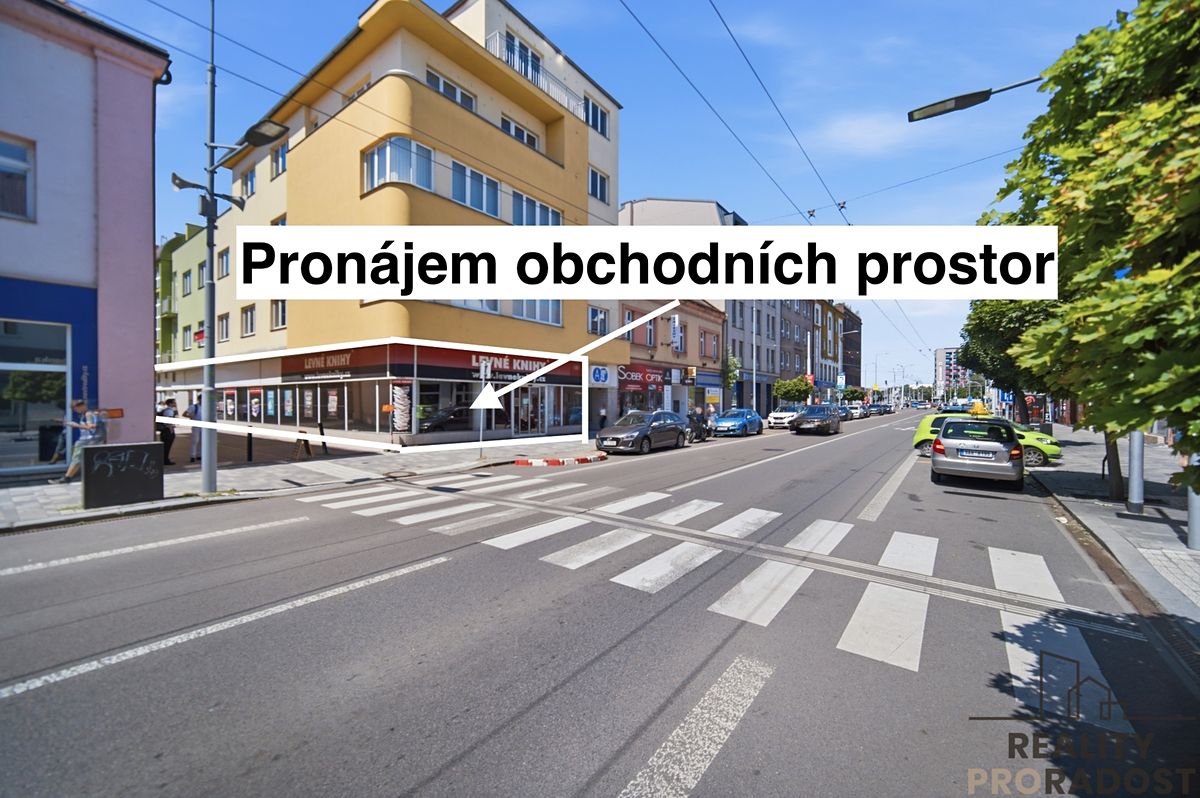Pronájem obchodního prostoru 250 m²