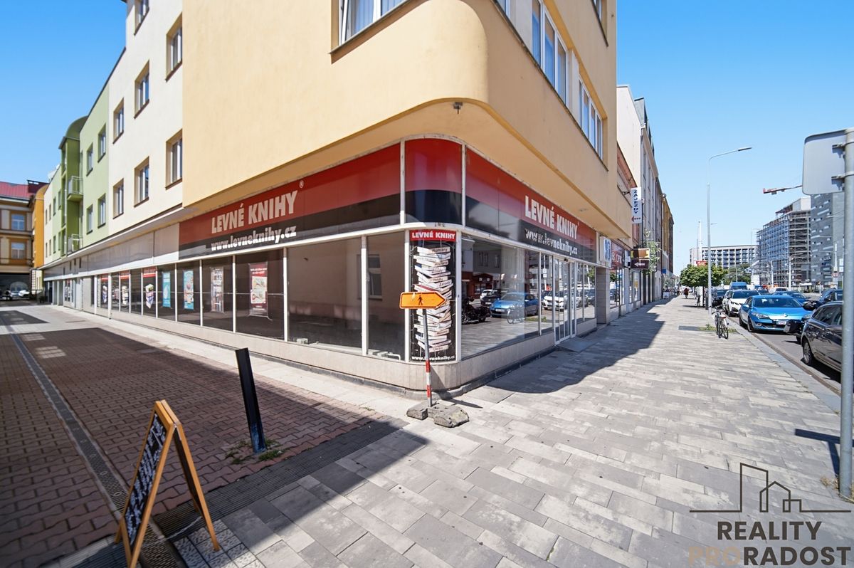 Pronájem obchodního prostoru 250 m² – fotografie 4
