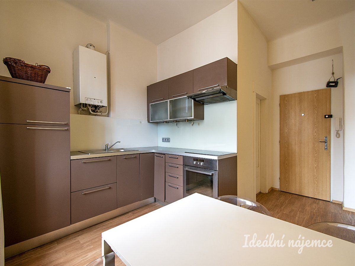 Pronájem bytu 1+1 45 m²