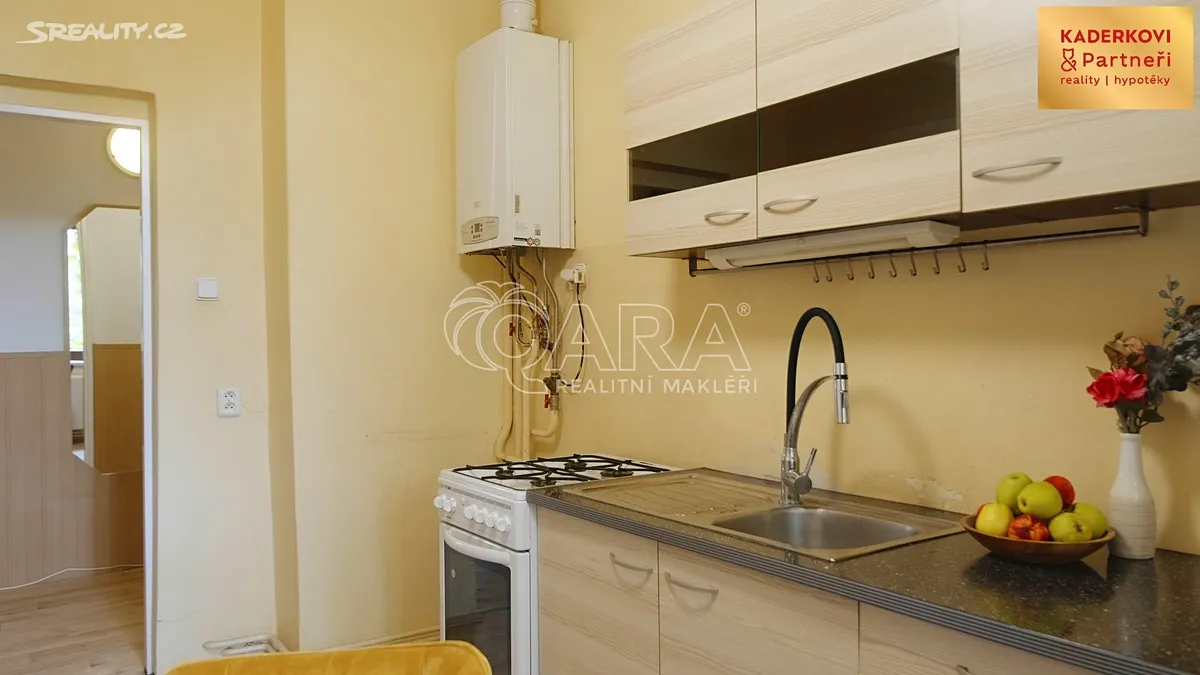 Prodej bytu 2+1 55 m² – další