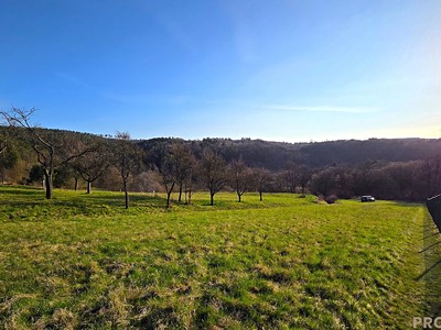 Prodej  zahrady 558 m²
