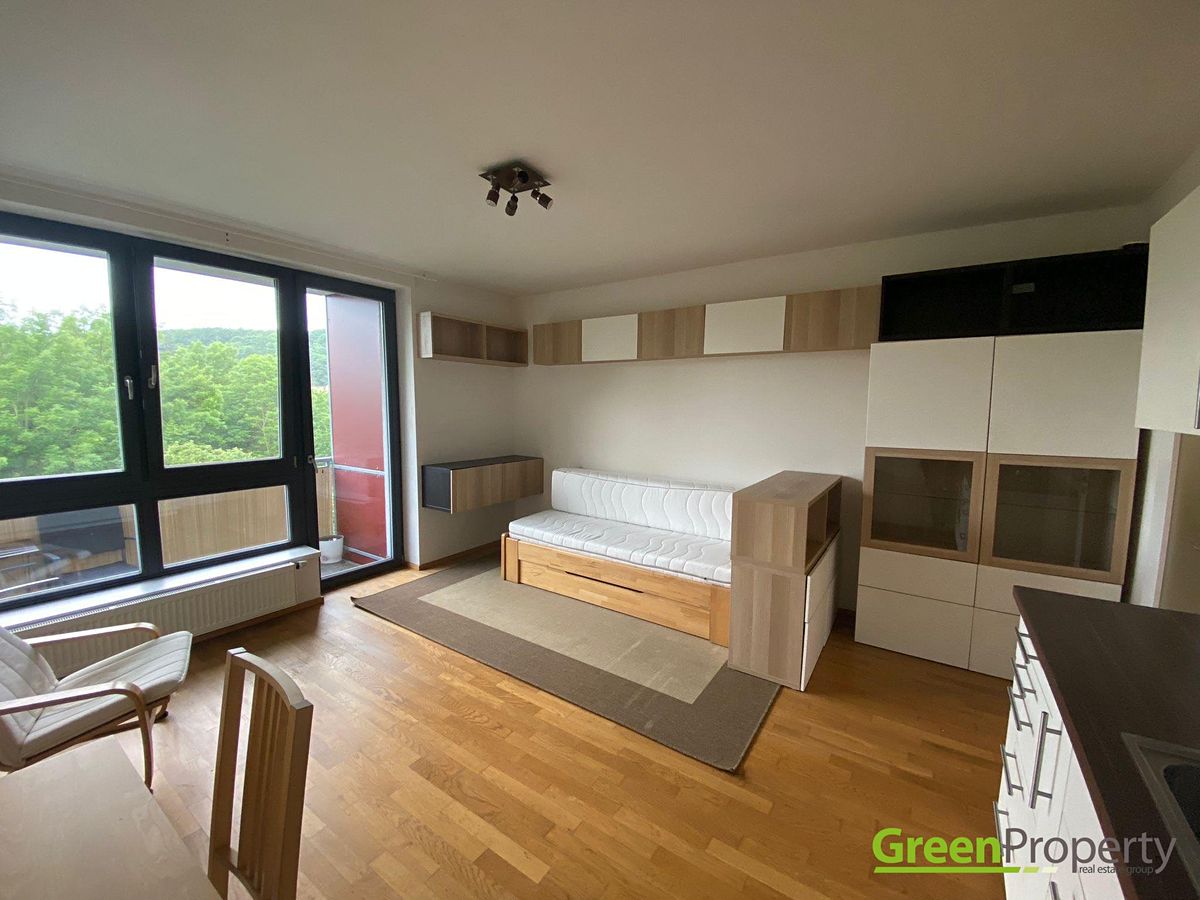 Pronájem bytu 1+kk 33 m²