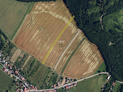 Prodej  pole 2 966 m²