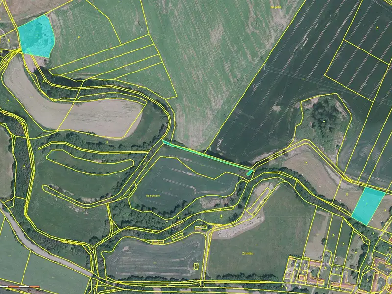 Prodej louky 10822 m², Čejetice – náhled fotky 1