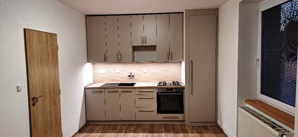 Pronájem bytu 1+1 38 m²