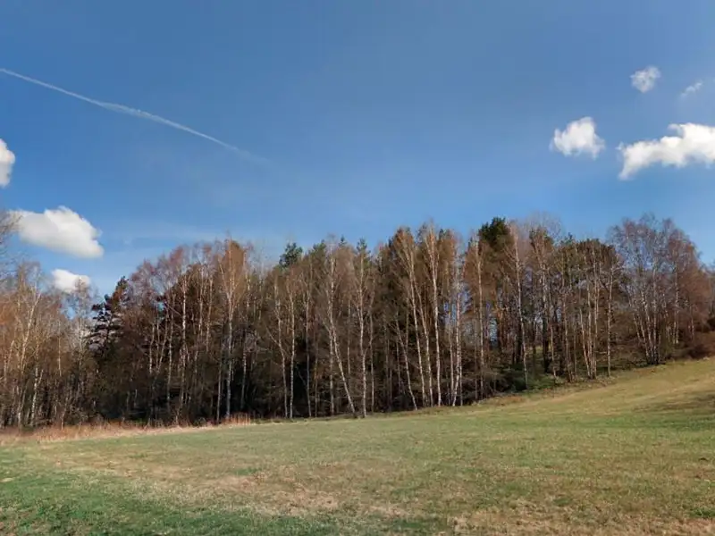 Prodej louky 22911 m², Hošťka – náhled fotky 2