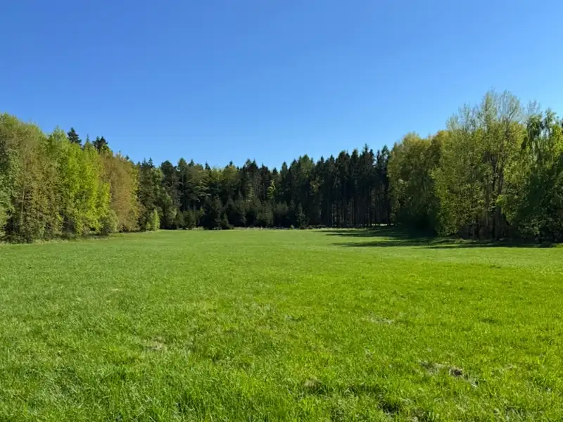 Prodej louky 16750 m², Ondřejov – náhled fotky 1