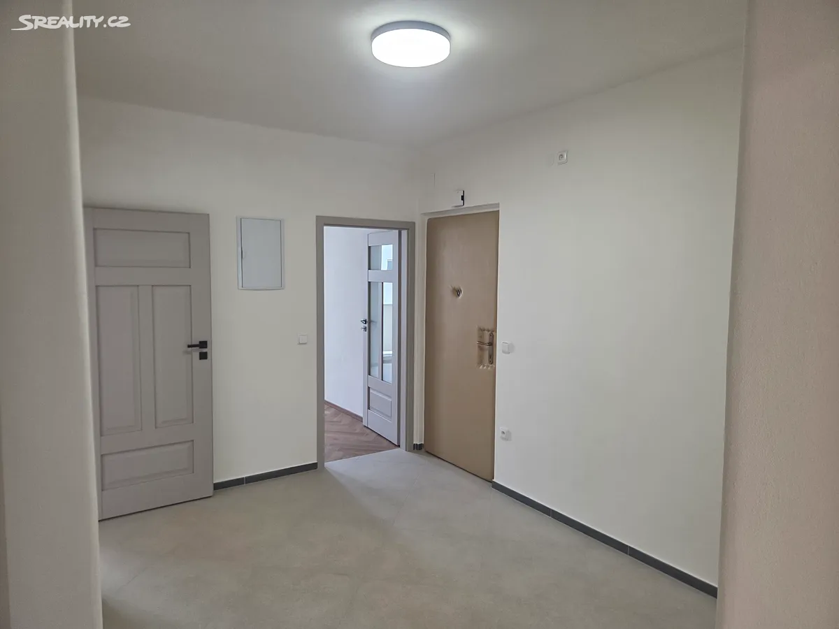 Pronájem bytu 2+1 66 m² – další