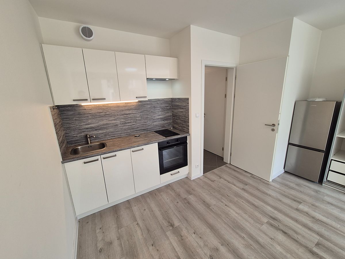 Pronájem bytu 1+kk 33 m²