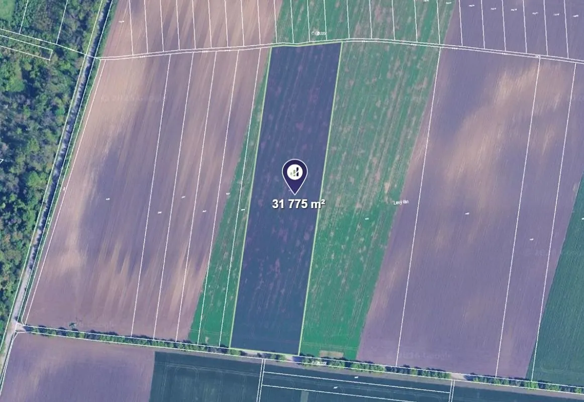 Prodej pole 31775 m²
