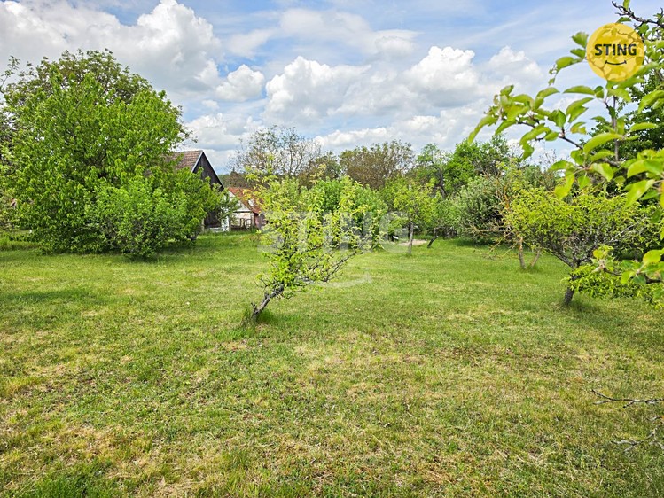 Ostatní