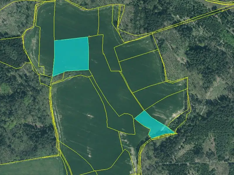 Prodej pole 53797 m², Louňová – náhled fotky 2