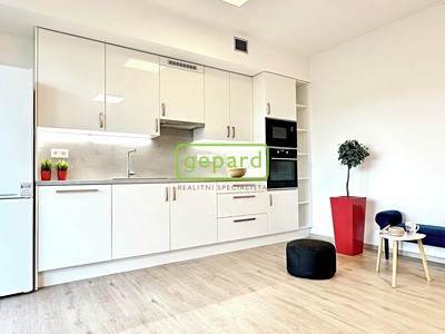 Pronájem bytu 1+kk 44 m²