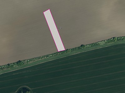 Prodej  pole 3 981 m²