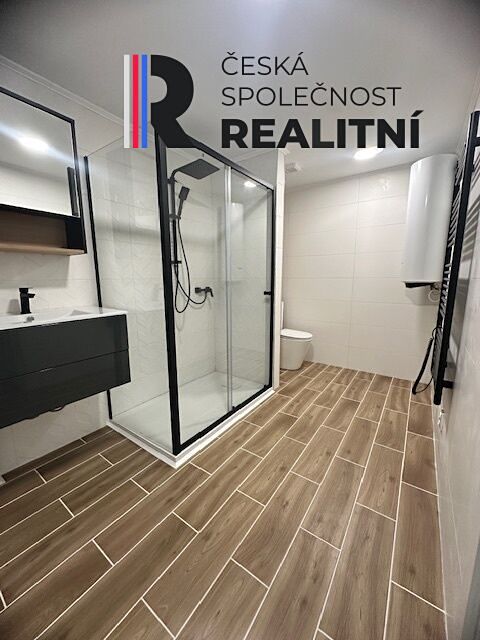 Pronájem bytu 1+kk 53 m² – fotografie 4