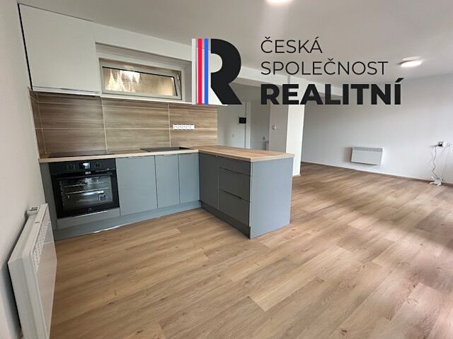 Pronájem bytu 1+kk 53 m² – fotografie 5