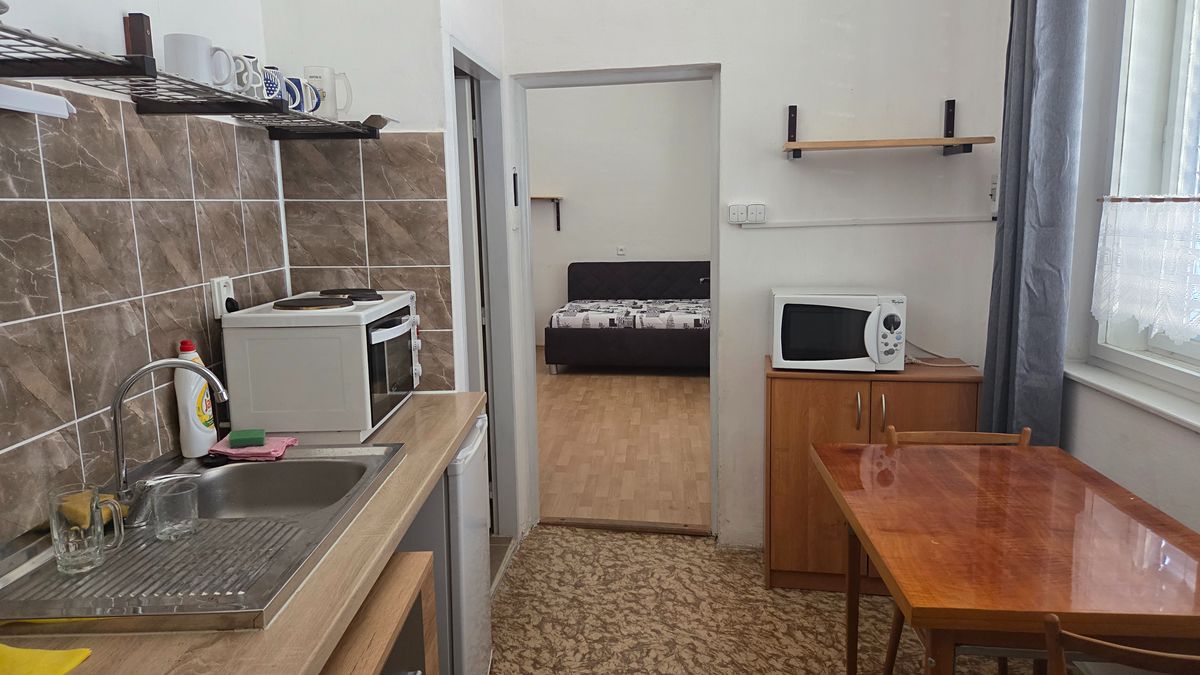 Pronájem bytu 1+kk 35 m²