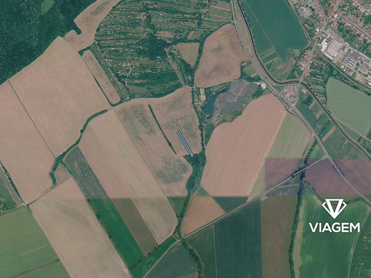 Prodej pole 3159 m² – fotografie 3
