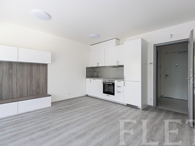 Pronájem bytu 1+kk 31 m²