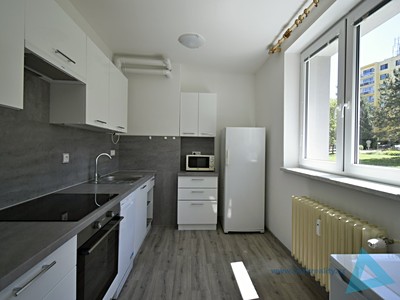 Pronájem bytu 2+1 53 m²