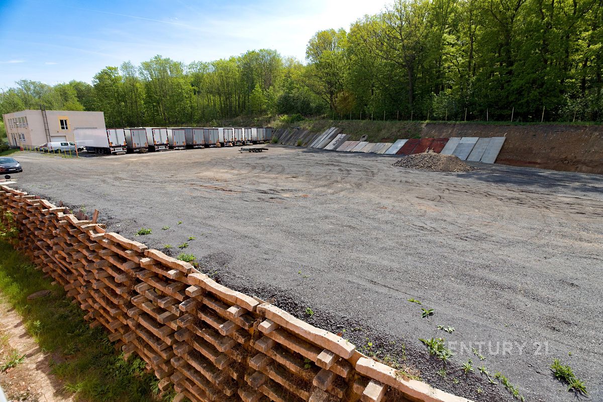 Pronájem pozemku 4000 m² – fotografie 5