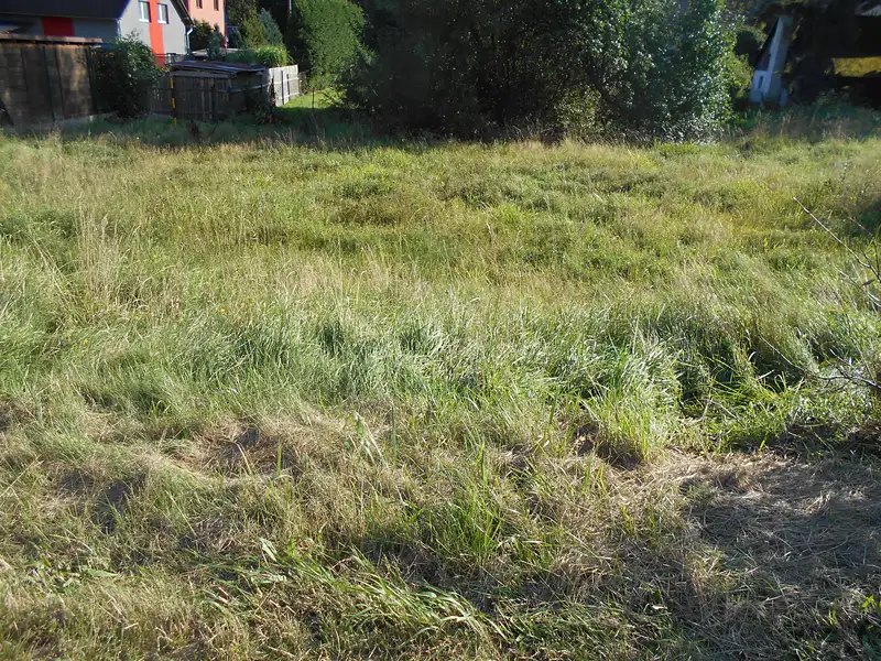 Prodej stavebního pozemku 980 m², Dolní Podluží – náhled fotky 3
