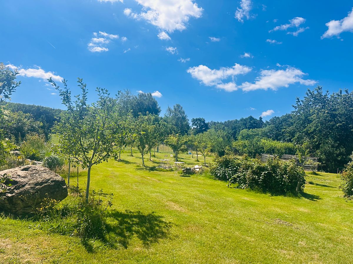 Prodej rodinného domu 360 m², pozemek 3500 m² – fotografie 3