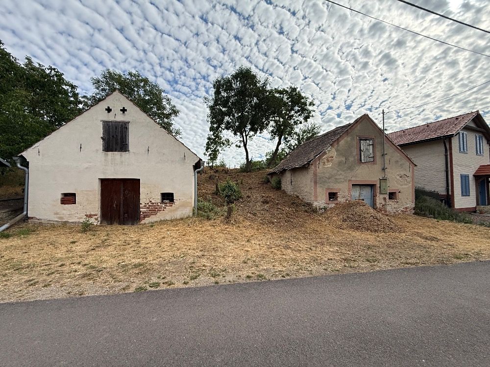 Prodej vinného sklepa 136 m², Novosedly – fotka 1 z 3