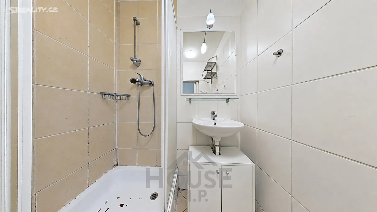 Pronájem bytu 2+1 53 m² - View 6