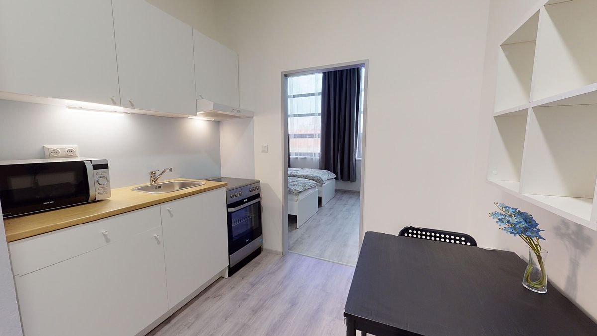 Pronájem bytu 1+1 28 m²
