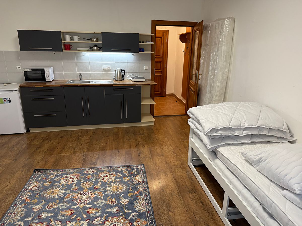 Pronájem bytu 1+kk 35 m²