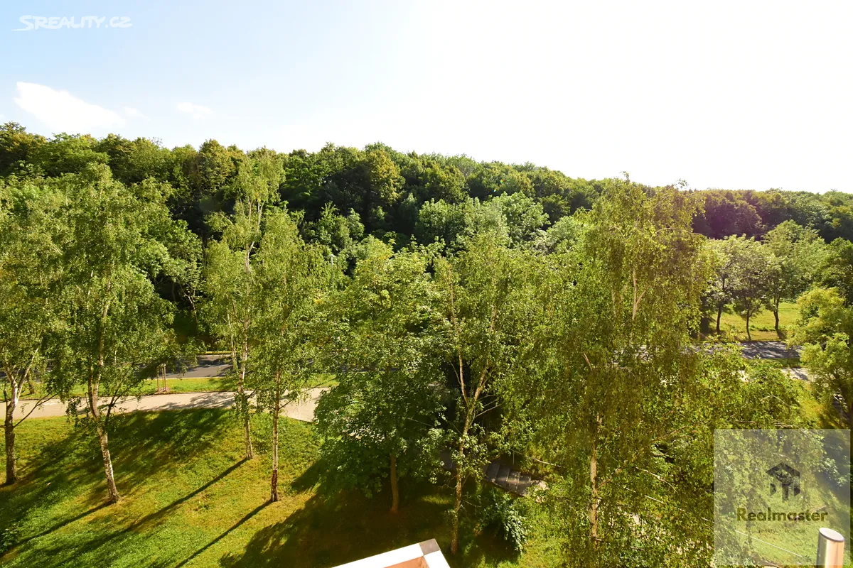 Pronájem bytu 2+kk 44 m² – další